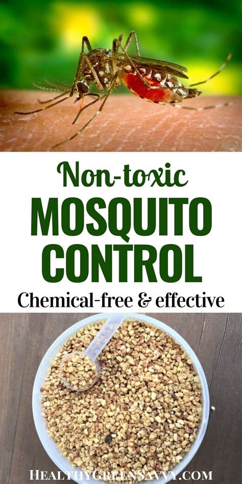 Magic Mosquito Killers: The Secret Weapon for Mosquito-Free Backyards and Gardens